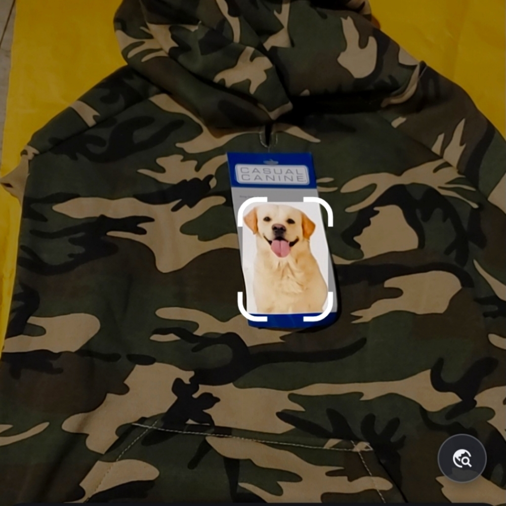 DOGS